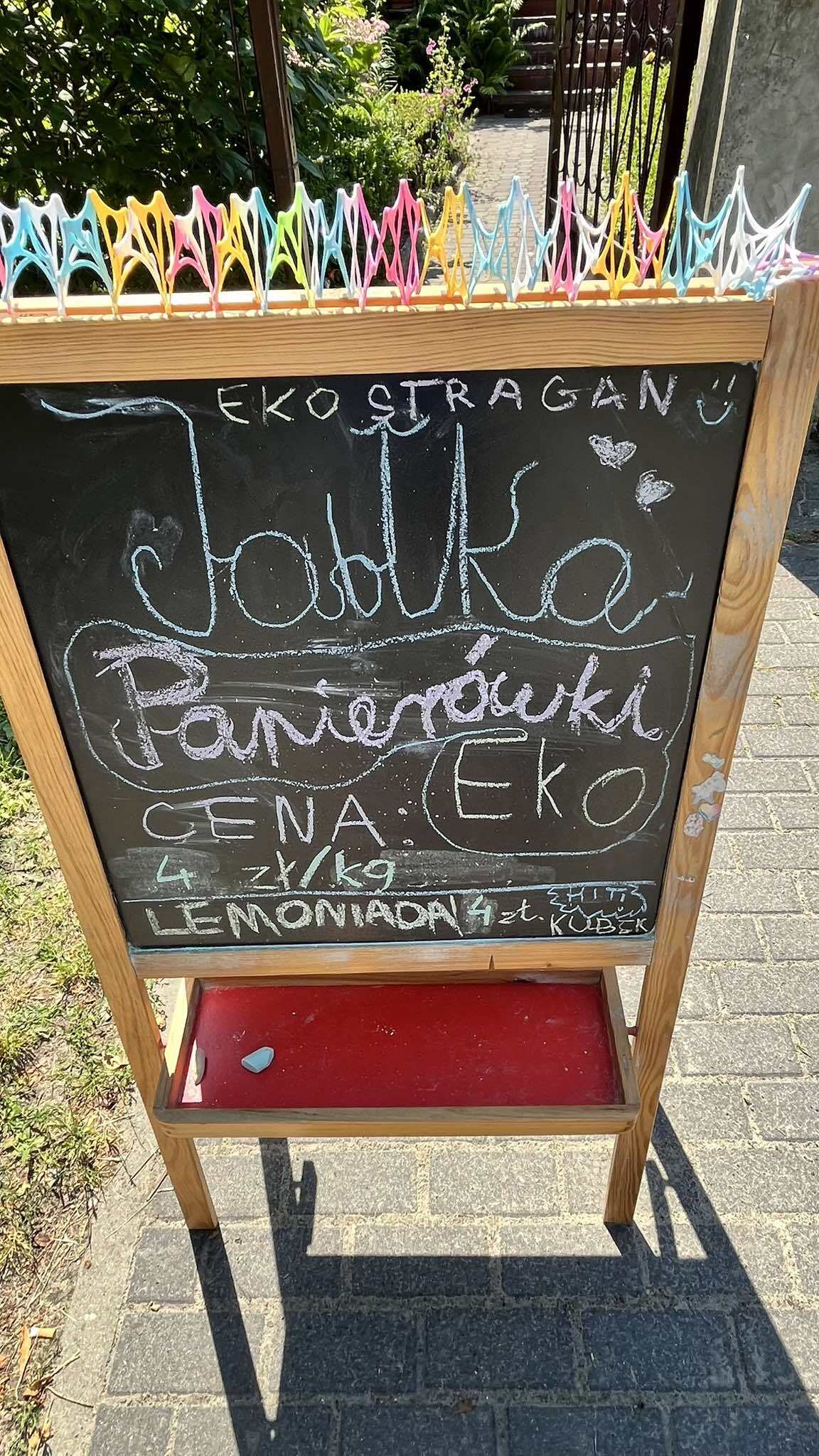 Eko-Stragan zdjęcie 3